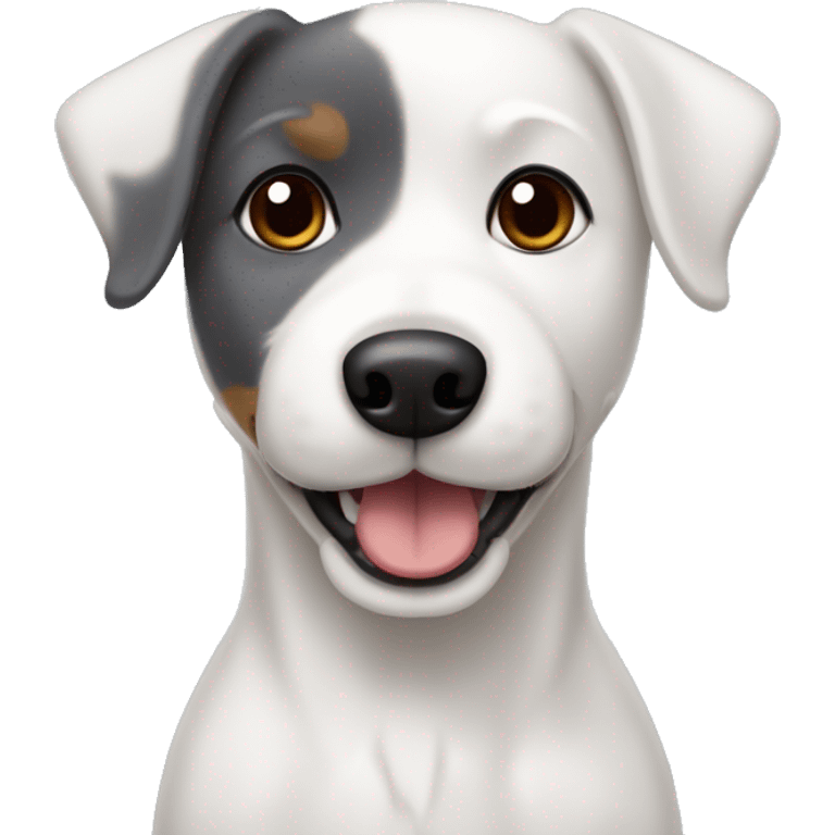 white dog with dark gray ears, mixed breed Jack Russel and bichon frize emoji