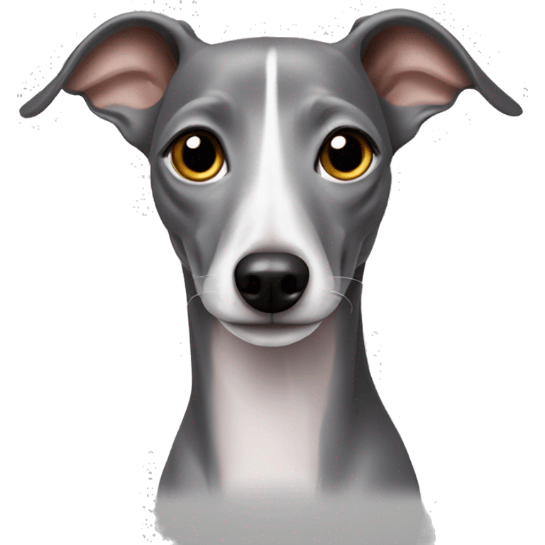 Grey Italian greyhound  emoji