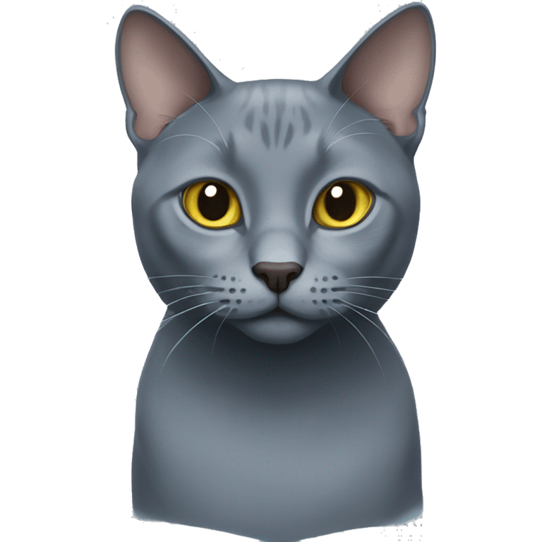 Russian blue cat emoji