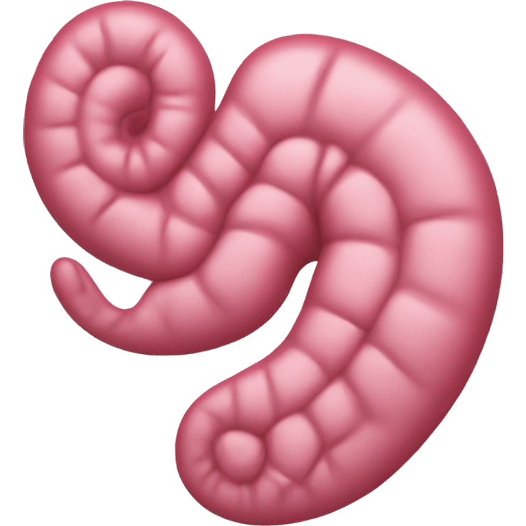 a human stomach with pinkish color.” emoji