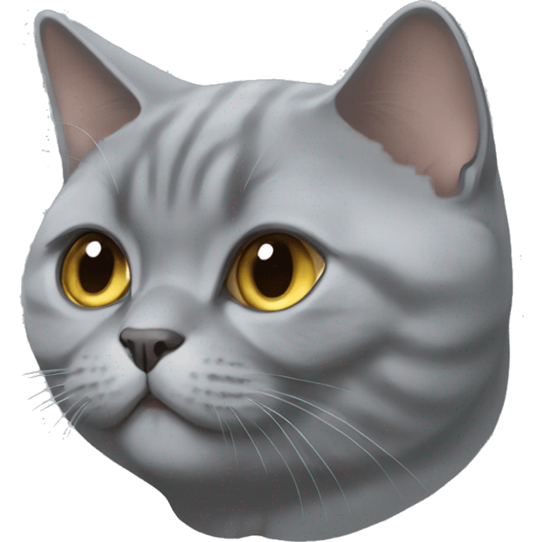 Greg British shorthair cat emoji