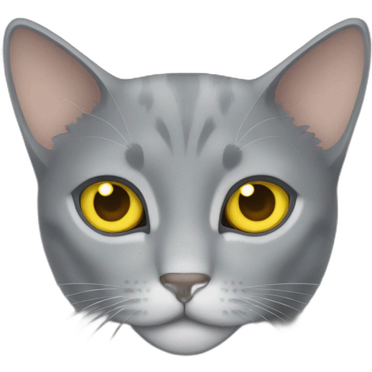 gray cat with yellow eyes  emoji