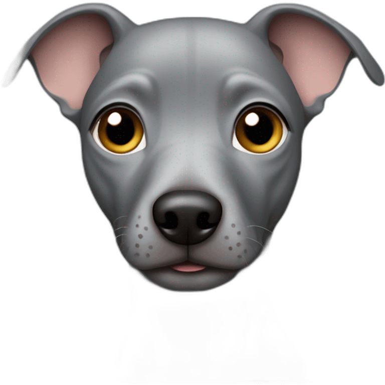 gray Peruvian hairless dog emoji