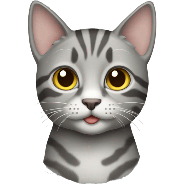 Grey tabby cat emoji