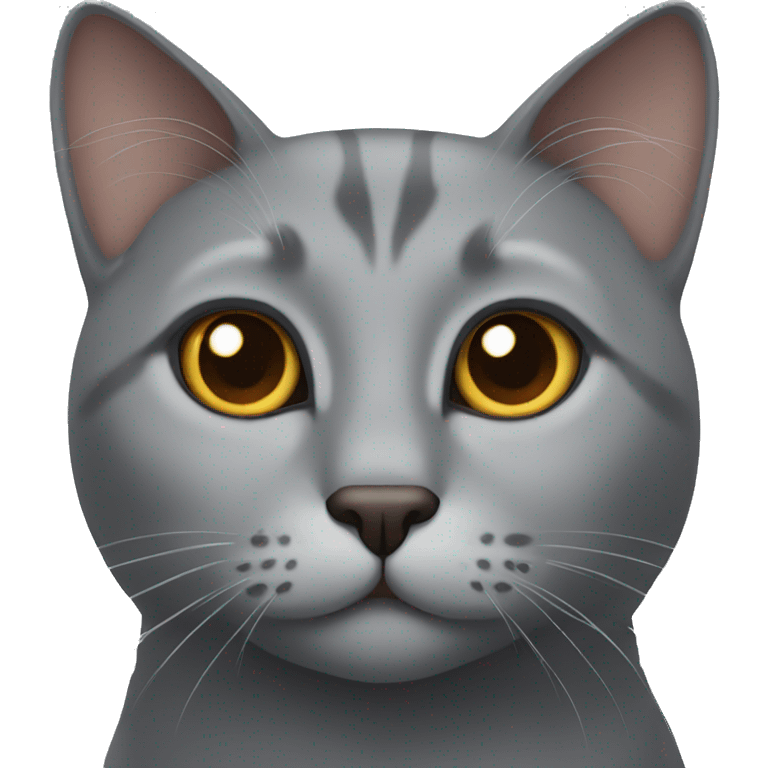 Gray cat with brown eyes  emoji