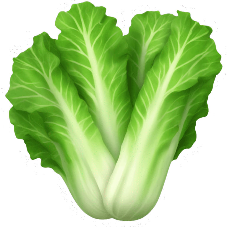 Romaine lettuce emoji