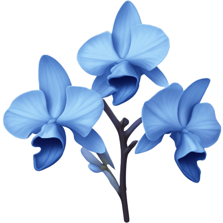 Blue orchid flowers  emoji