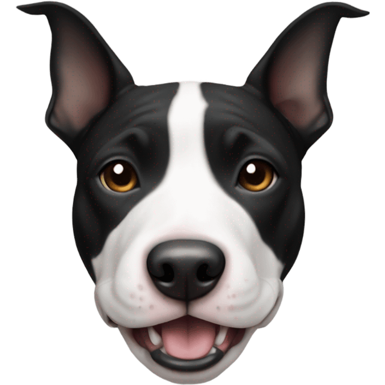 Black and white american bull terrier  emoji