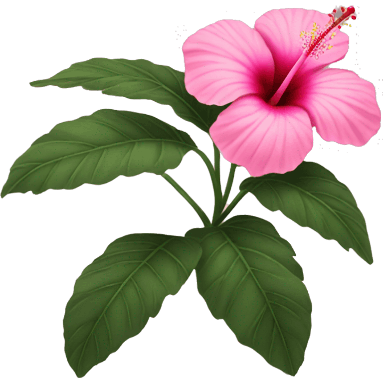 a pink hibiscus flower emoji