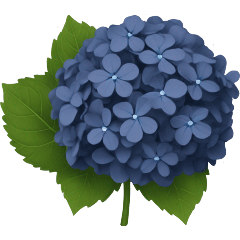 Dark Navy blue Hydrangea emoji