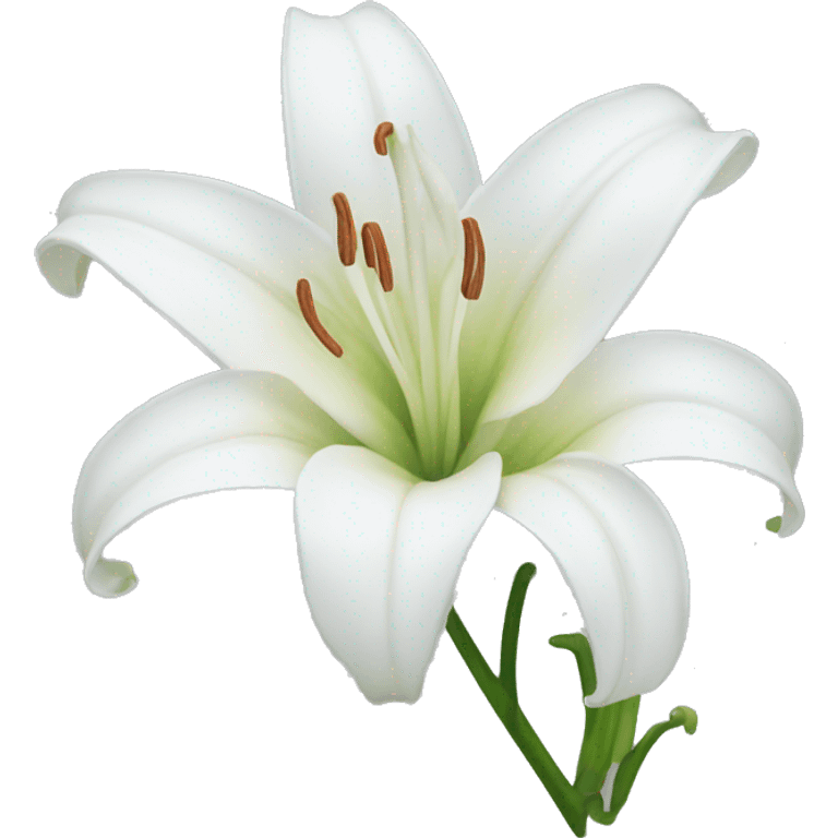 White lily  emoji