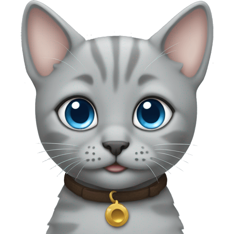 blue eyes grey kitten and poo emoji