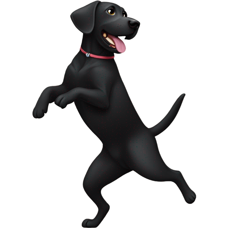 Black lab dancing emoji