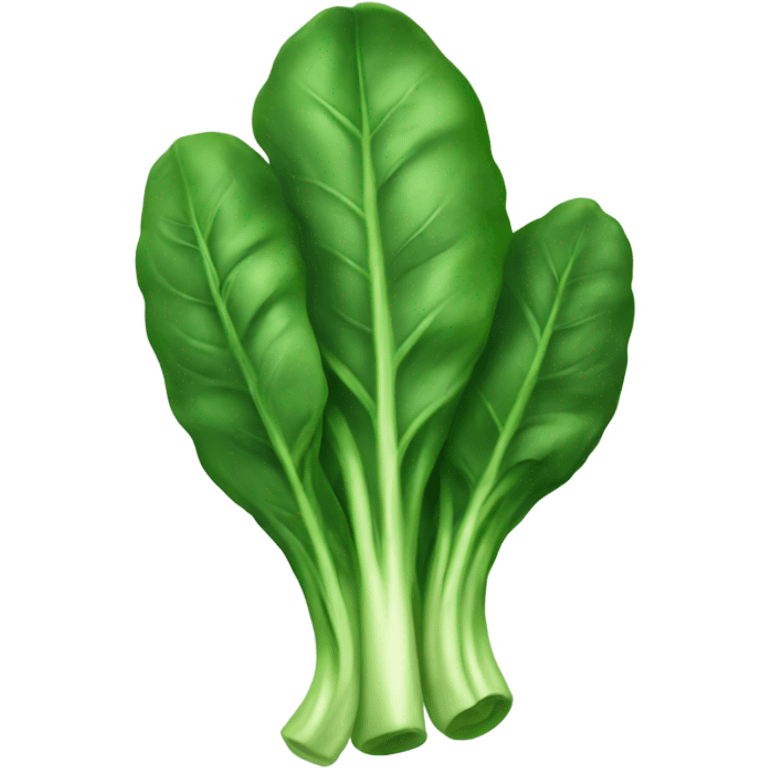 Spinach  emoji