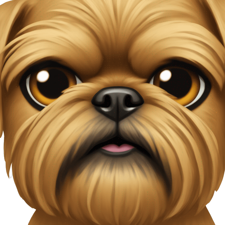 Completely tan Brussels griffon with a beard and black eyes staring at camera emoji