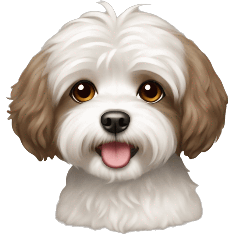 Brown bichon havanese with brown hair girl emoji