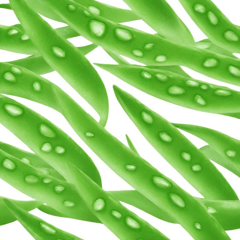 cultivo aloe vera emoji