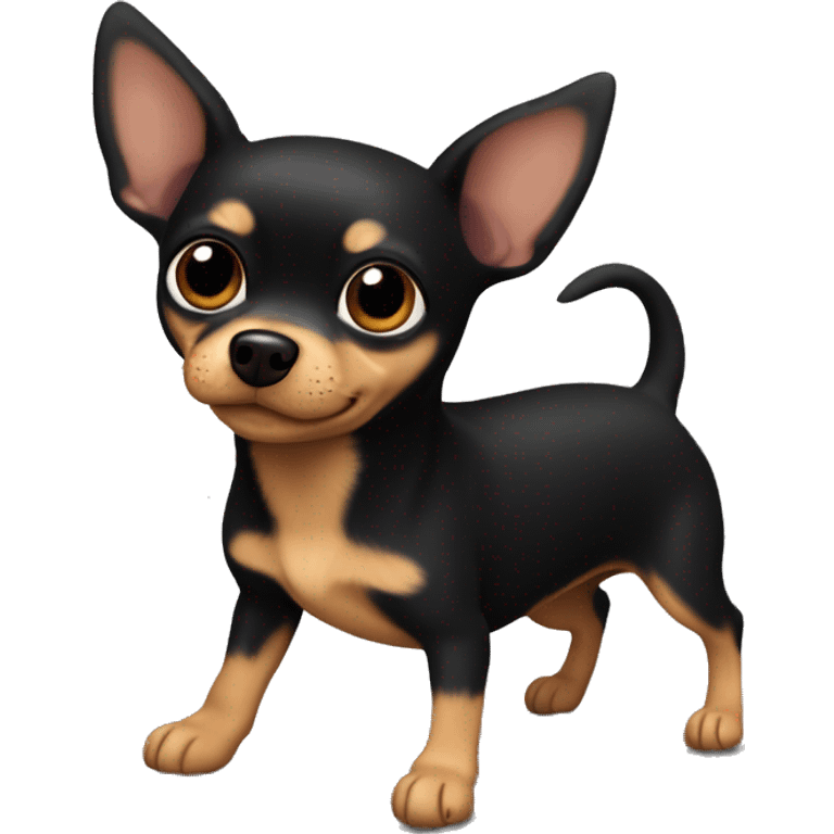 Black chihuahua mixed with wiener dog, black everything but white chest and paws, brown hazel eyes. emoji