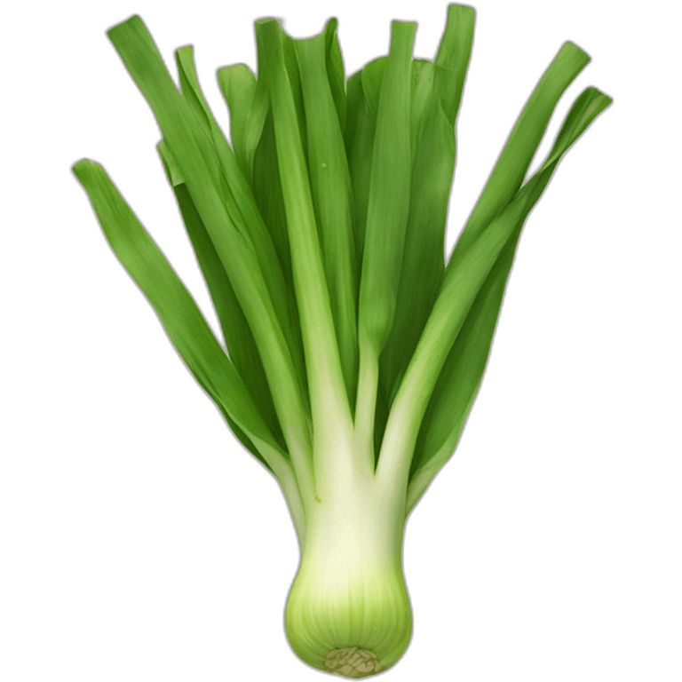 leek emoji