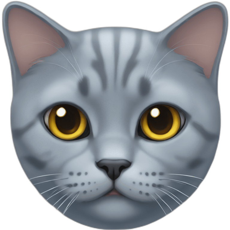 blue british shorthair cat face emoji