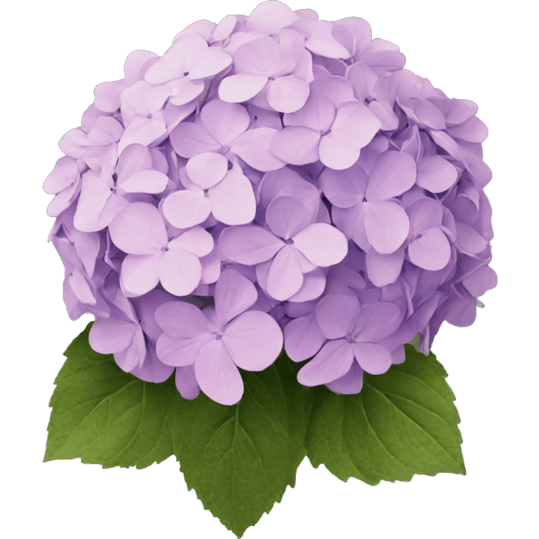 hydrangea emoji