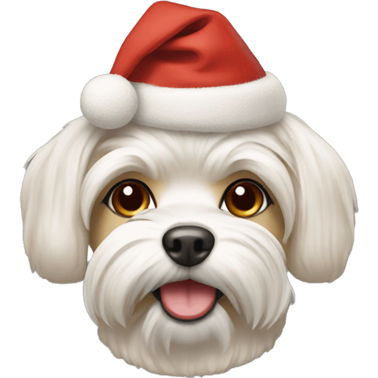 Beige maltese in a Christmas hat emoji