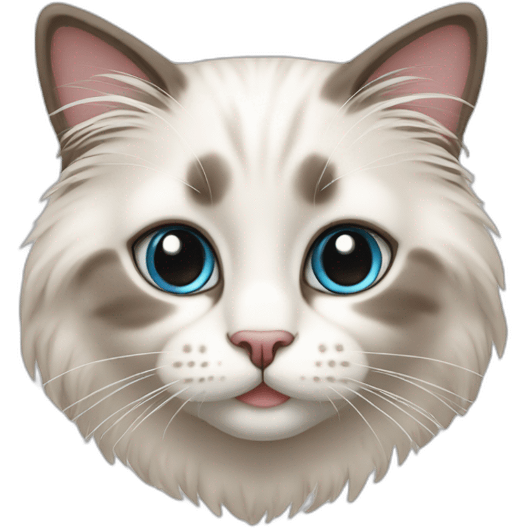 cute ragdoll cat emoji