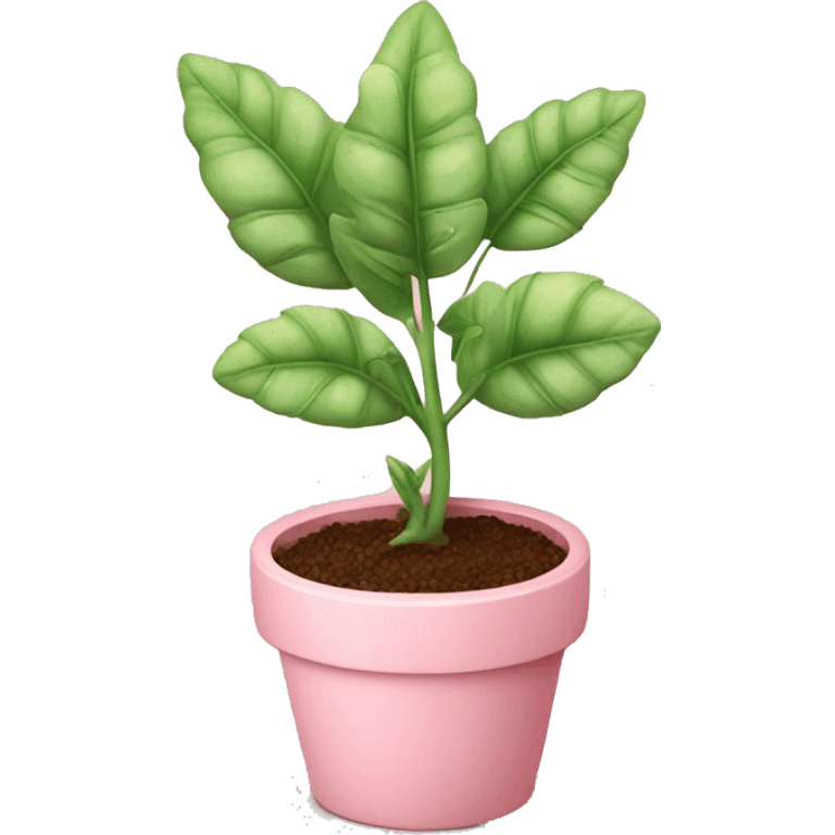 cute plant with a baby pink pot emoji