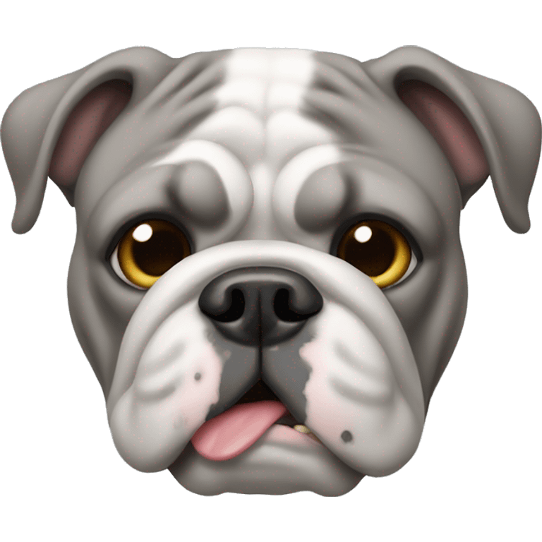 Gray English bulldog emoji