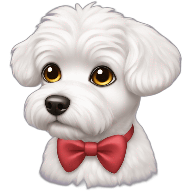 Bichonfrise dog with big eyes and a bowtie emoji