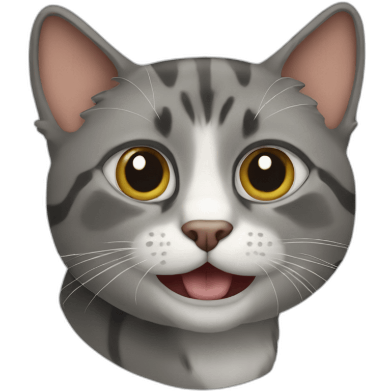 catt emoji