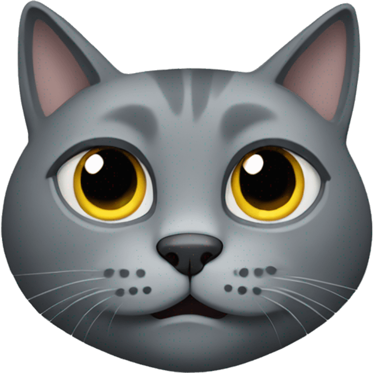 Grey cat hiding emoji