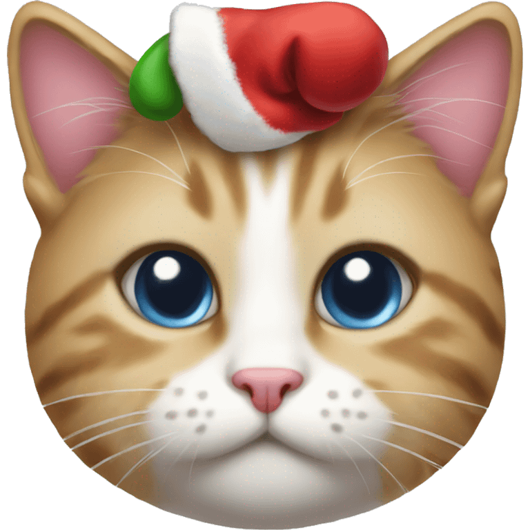 Christmas kitty emoji