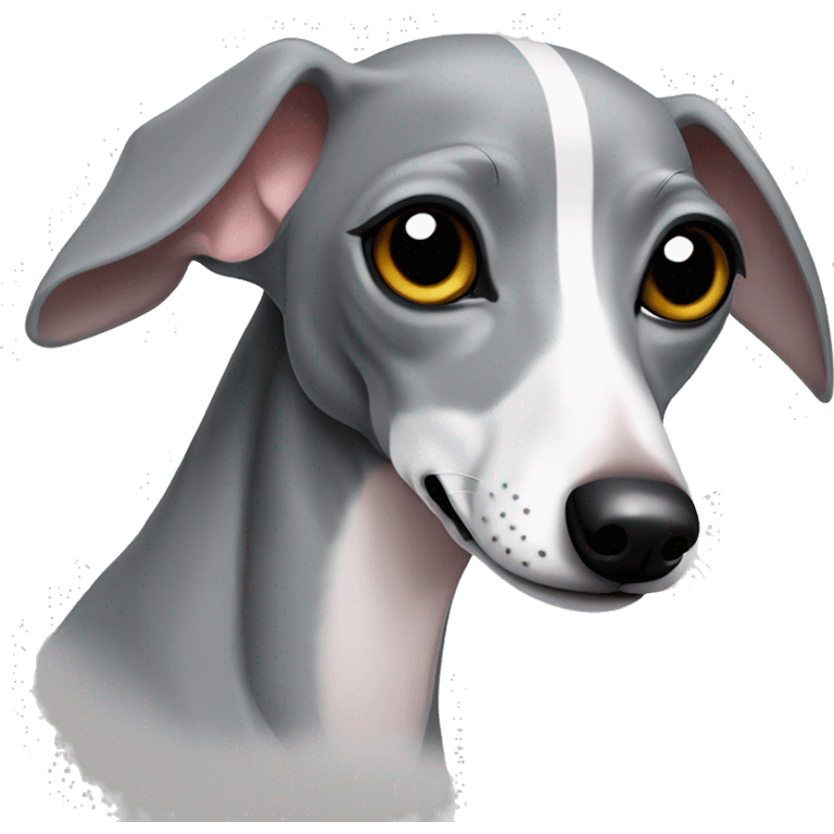 Italian greyhound gray curled up emoji