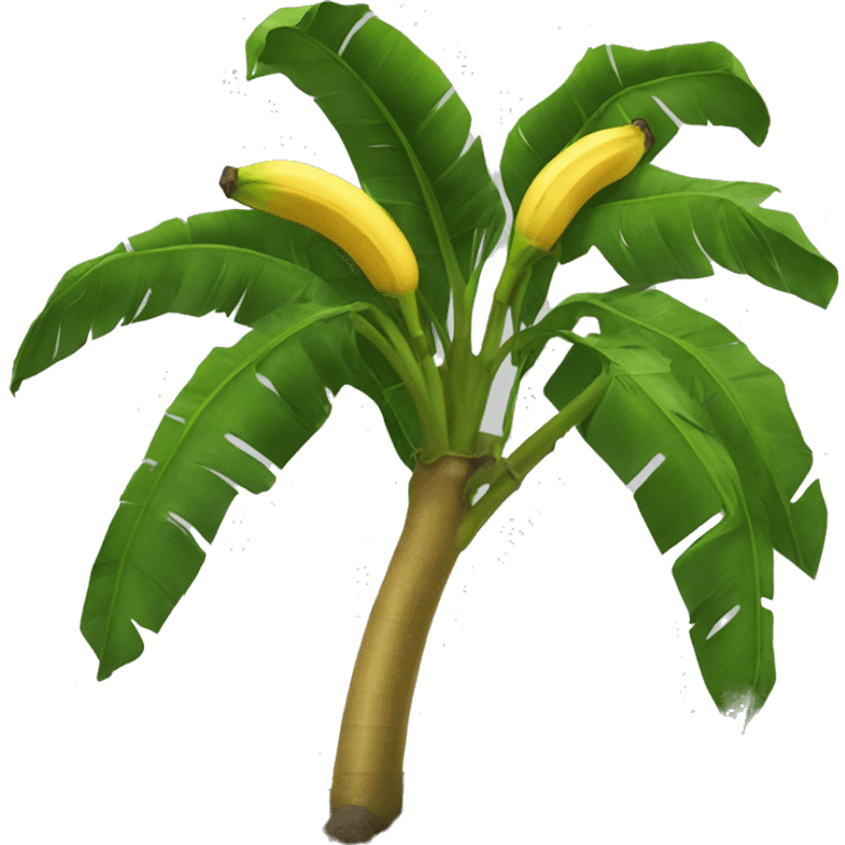 Banana tree emoji