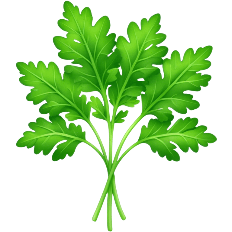 Cinematic Realistic Parsley Emoji, Fresh and vibrant, with bright green, frilly leaves that seem to shimmer with vitality. The plant exudes a sense of healthy growth and aromatic zest, inviting both beauty and flavor into any dish. Soft glowing outline, capturing the essence of freshness, health, and culinary delight in a sprig of parsley! emoji