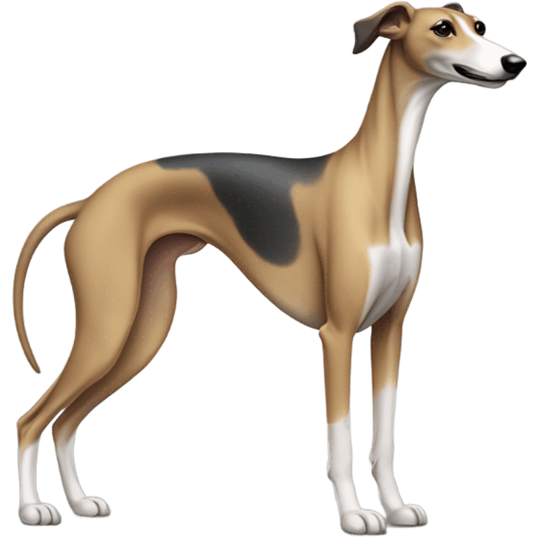 Greyhound  emoji