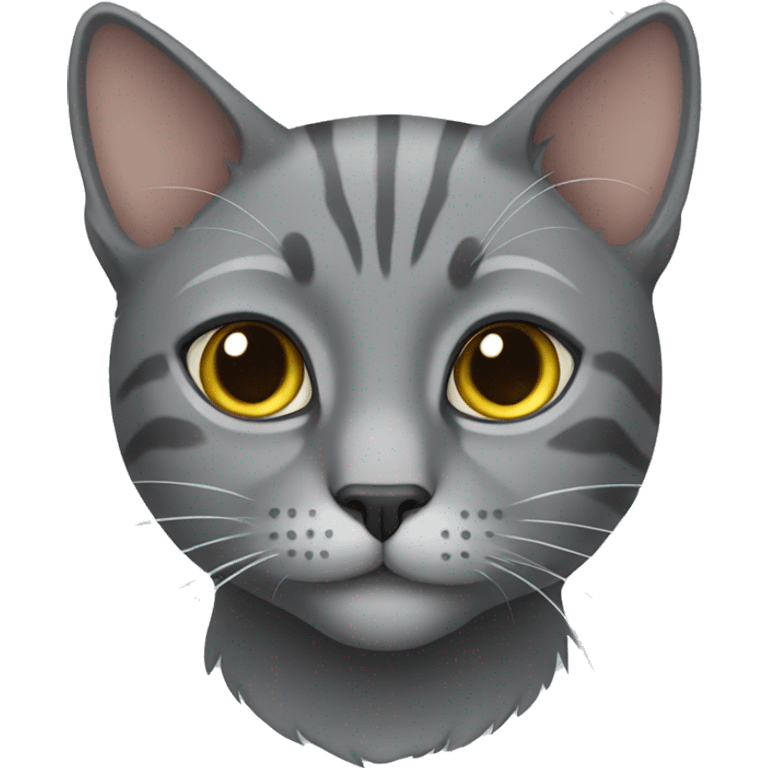 gray cat  emoji