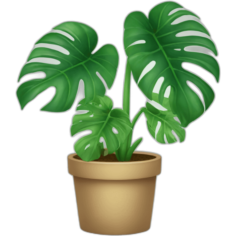 Monstera plant emoji