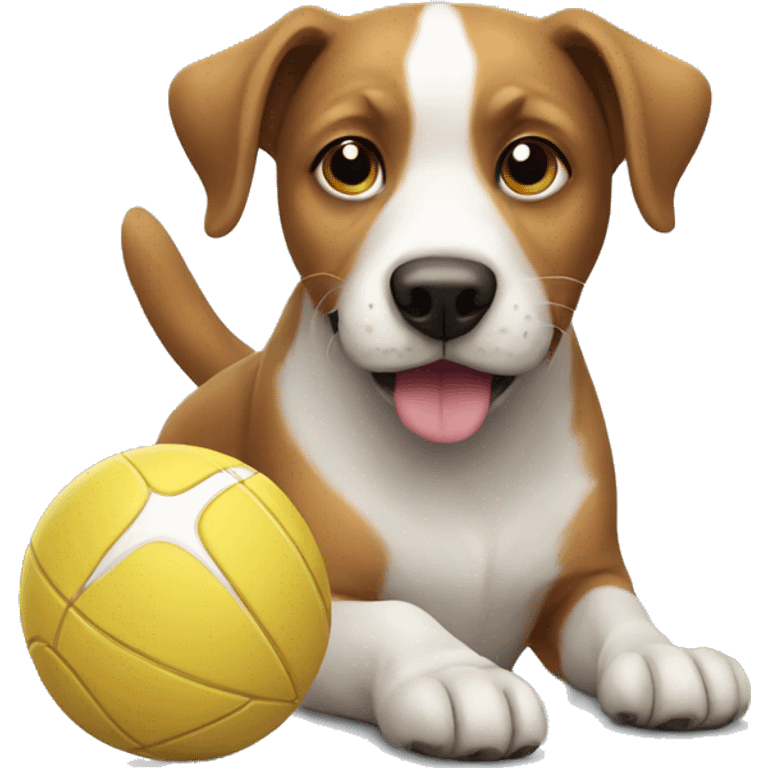 dog with a ball emoji