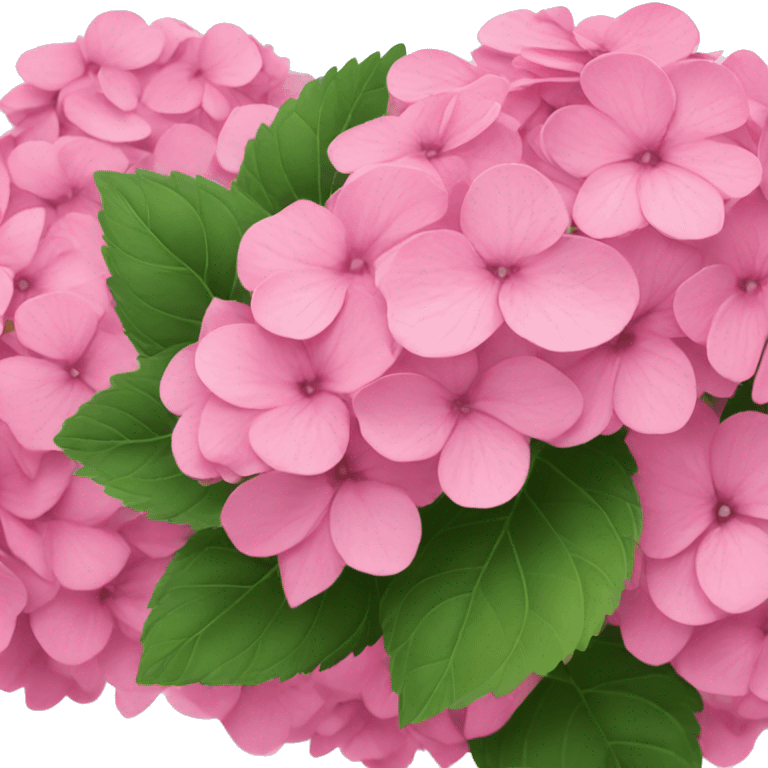 Pink hydrangeas  emoji