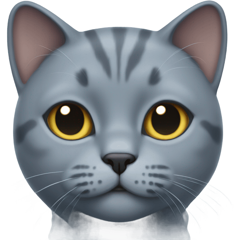 British blue cat emoji