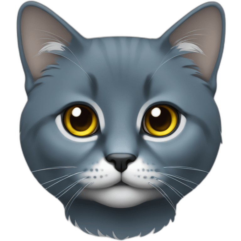 Gato azul ruso gris oscuro de ojos amarillo verdoso emoji