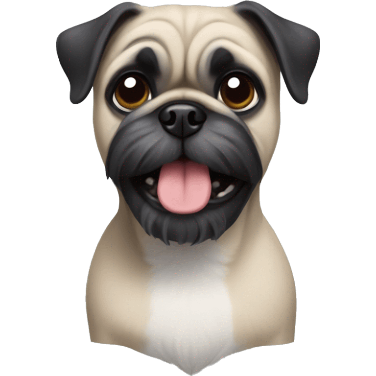 Pug mixed with schnauzer  emoji