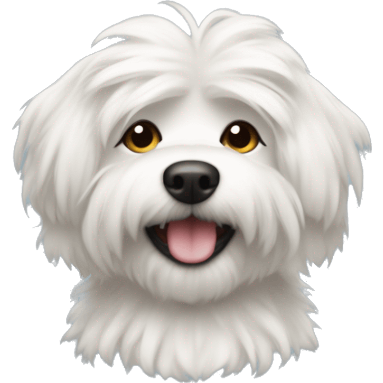 a maltes dog with fluffy hair smili emoji