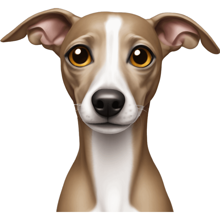 Italian greyhound  emoji