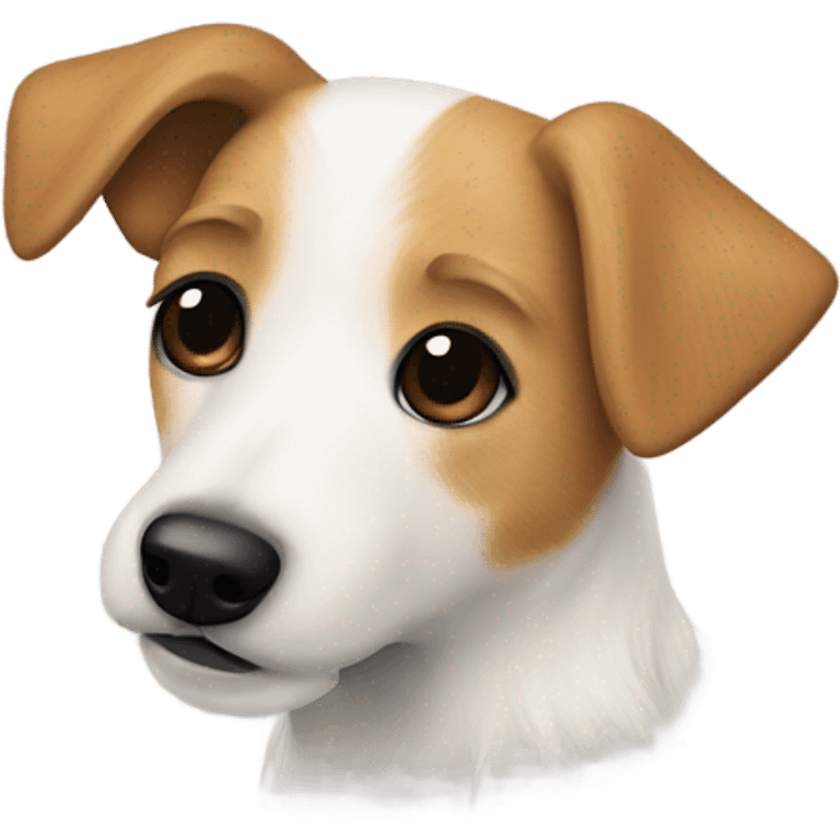 long hair jack russell with beige hair on the face and a black spot on the back emoji