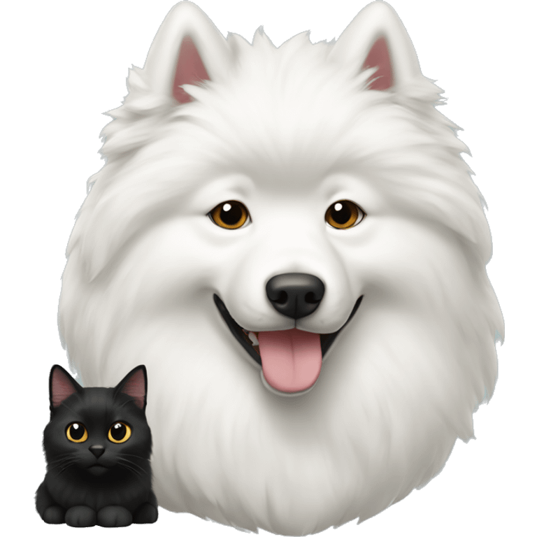 Samoyed with black cat emoji