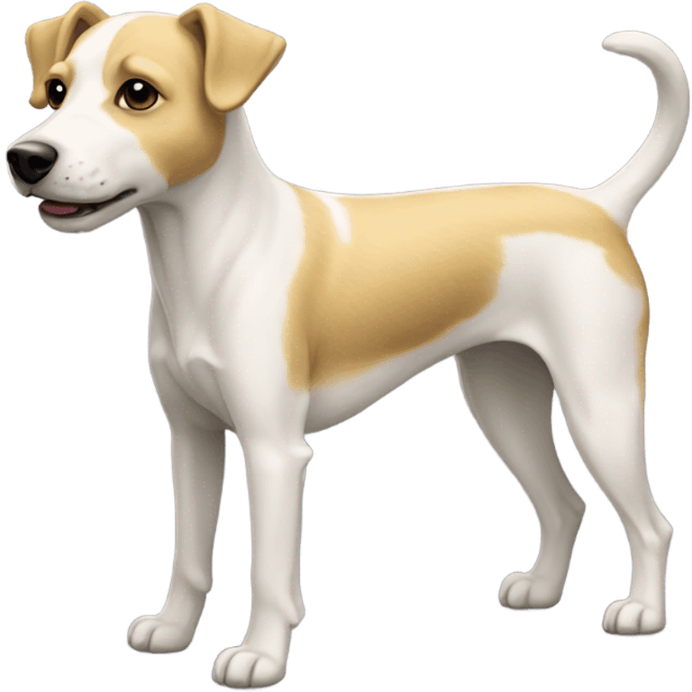 skinny little golden white  terrier dog  emoji