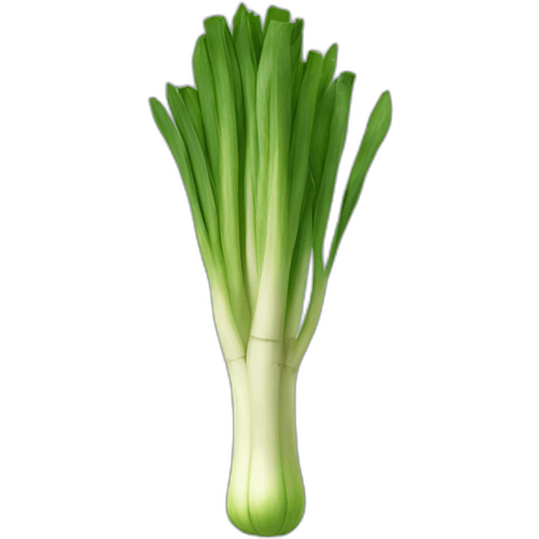 leek emoji